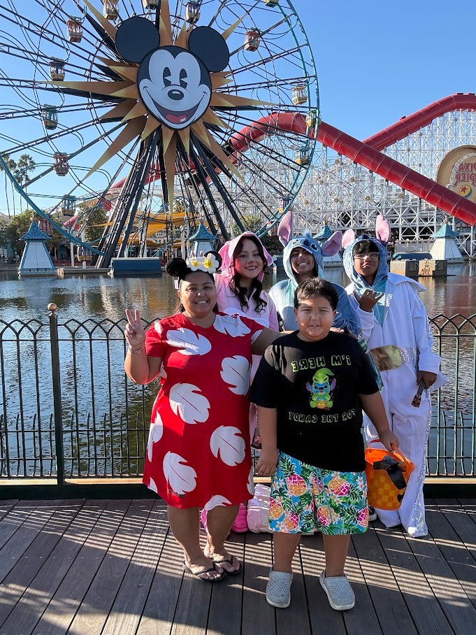 Theme Parks